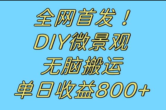 全网首发冷门赛道！DIY微景观，无脑搬运视频，日收益800+-讯领网创