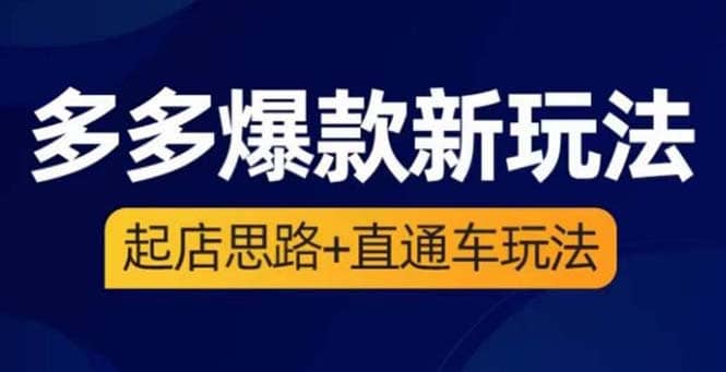 2023拼多多爆款·新玩法：起店思路+直通车玩法（3节精华课）-讯领网创