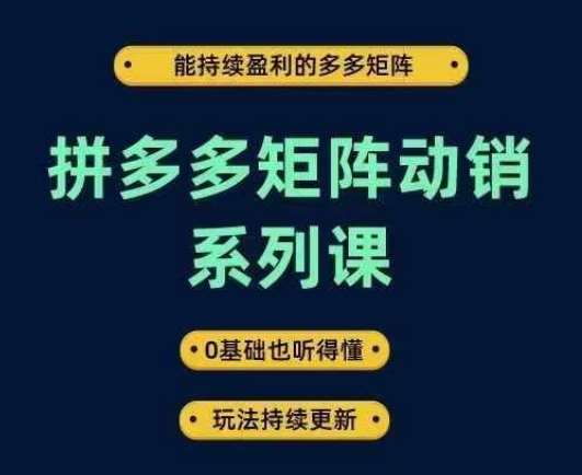 拼多多矩阵动销系列课，能持续盈利的多多矩阵，0基础也听得懂，玩法持续更新-讯领网创