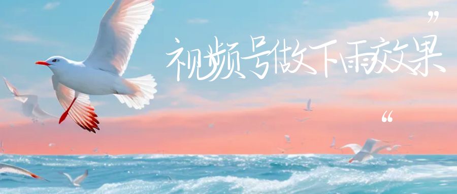 视频号做下雨视频，一个账号一周涨粉10W+，日入1000+附保姆级教程-讯领网创
