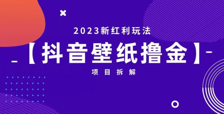 抖音壁纸小程序创作者撸金项目，2023新红利玩法【项目拆解】-讯领网创