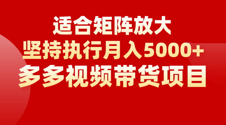 矩阵操作月入5000+，多多视频带货项目，适合新手，也适合老手放大-讯领网创