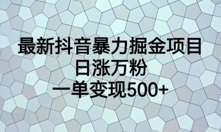 最新抖音暴力掘金项目，日涨万粉，一单变现500+【揭秘】-讯领网创