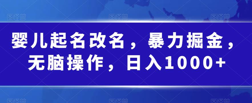 婴儿起名改名，暴力掘金，无脑操作，日入1000+【揭秘】-讯领网创