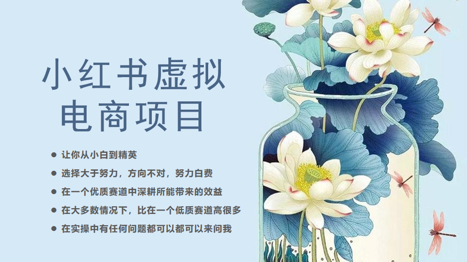 小红书虚拟电商从0到1小白到精英（20节实操课程）-讯领网创
