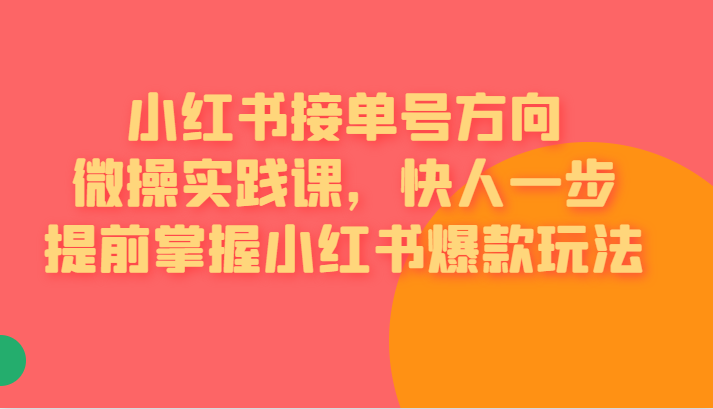 红书接单号方向微操实践课，快人一步提前掌握小红书爆款玩法-讯领网创