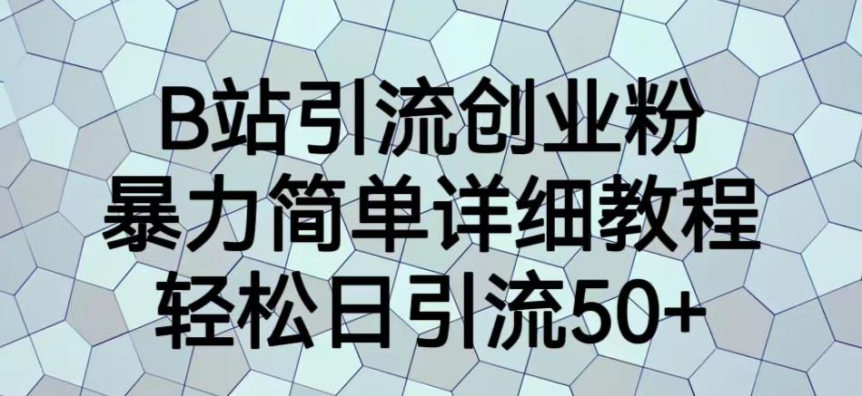 B站引流创业粉，暴力简单详细教程，轻松日引流50+【揭秘】-讯领网创