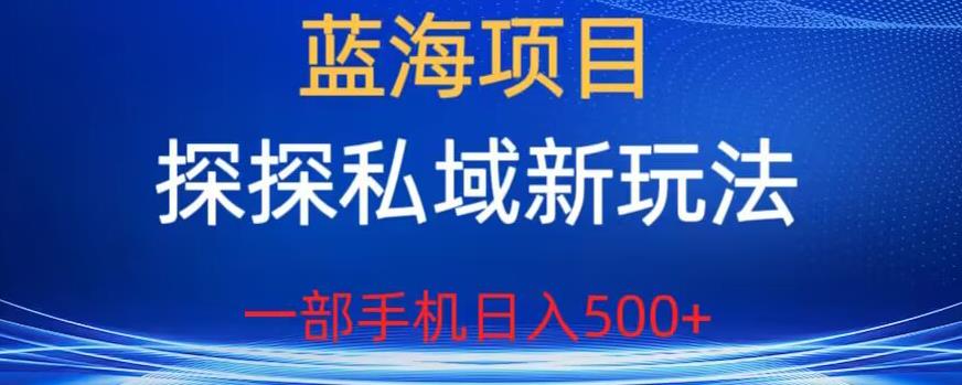 蓝海项目，探探私域新玩法，一部手机日入500+很轻松【揭秘】-62网赚