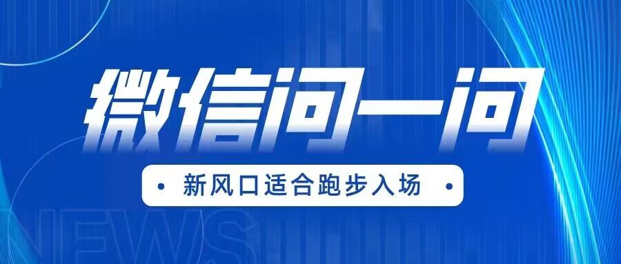 全网首发微信问一问新风口变现项目（价值1999元）-讯领网创