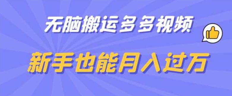 无脑搬运多多视频，新手也能月入过万【揭秘】-讯领网创