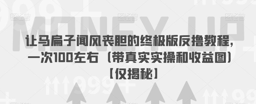 让马扁子闻风丧胆的终极版反撸教程，一次100左右（带真实实操和收益图）【仅揭秘】-讯领网创