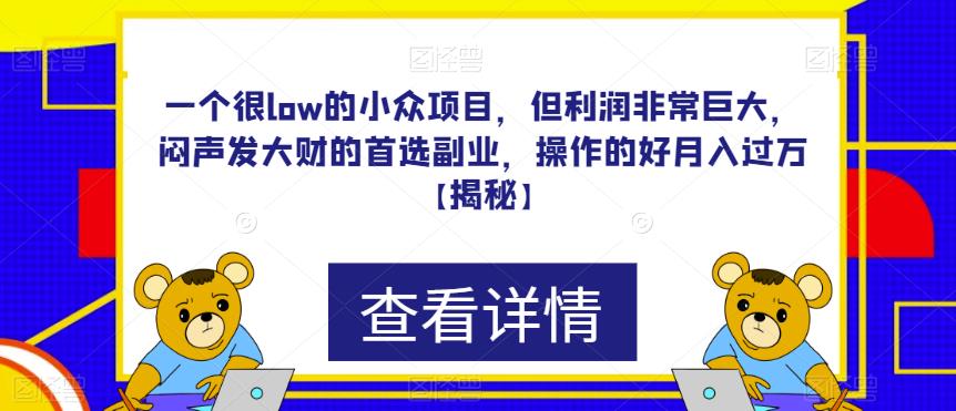 一个很low的小众项目，但利润非常巨大，闷声发大财的首选副业，操作的好月入过万【揭秘】-讯领网创