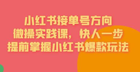 接单号方向·小红书微操实践课，快人一步，提前掌握小红书爆款玩法-讯领网创