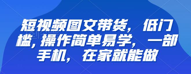 【推荐】短视频图文带货，低门槛,操作简单易学，一部手机，在家就能做-讯领网创