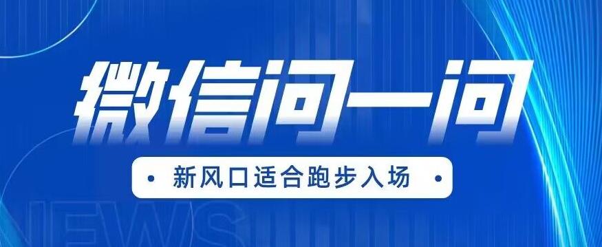 全网首发微信问一问新风口变现项目（价值1999元）【揭秘】-讯领网创