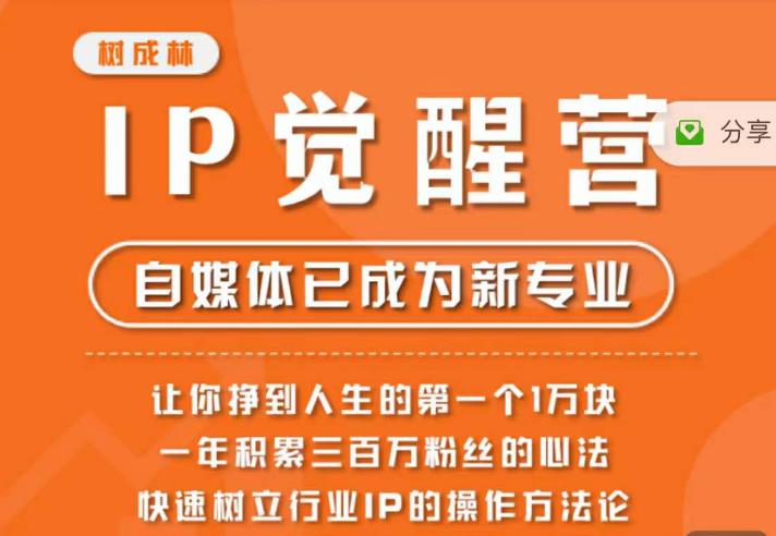 树成林·IP觉醒营，快速树立行业IP的操作方法论，让你赚到人生的第一个1万块（更新）-讯领网创