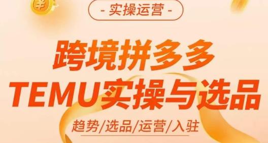 伍跃·跨境拼多多TEMU实操与选品，​趋势/选品/运营/入住（27节完整）-讯领网创