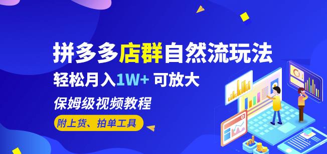 拼多多店群自然流玩法，轻松月入1W+保姆级视频教程（附上货、拍单工具）-讯领网创