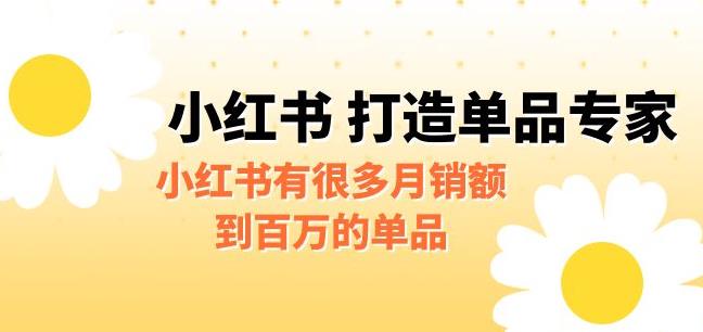 某公众号付费文章《小红书打造单品专家》小红书有很多月销额到百万的单品-讯领网创
