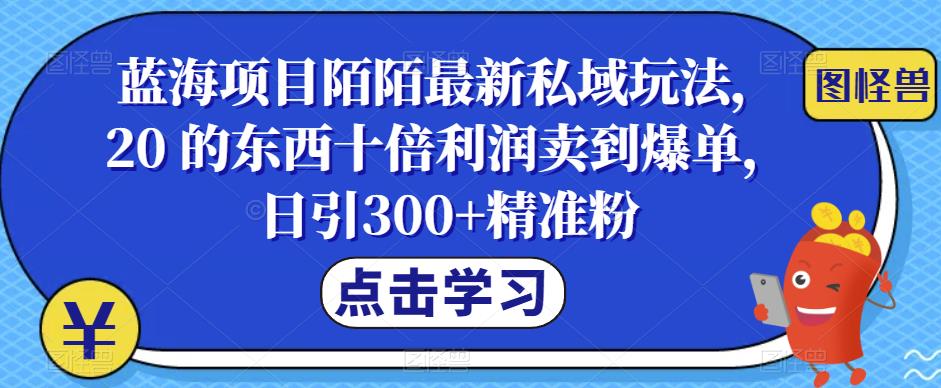蓝海项目陌陌最新私域玩法，20 的东西十倍利润卖到爆单，日引300+精准粉【揭秘】-讯领网创