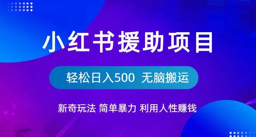 小红书援助项目新奇玩法，简单暴力，无脑搬运轻松日入500【揭秘】-讯领网创