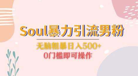 Soul暴力引流男粉玩法，无脑粗暴日入500＋，0门槛即可操作【揭秘】-讯领网创