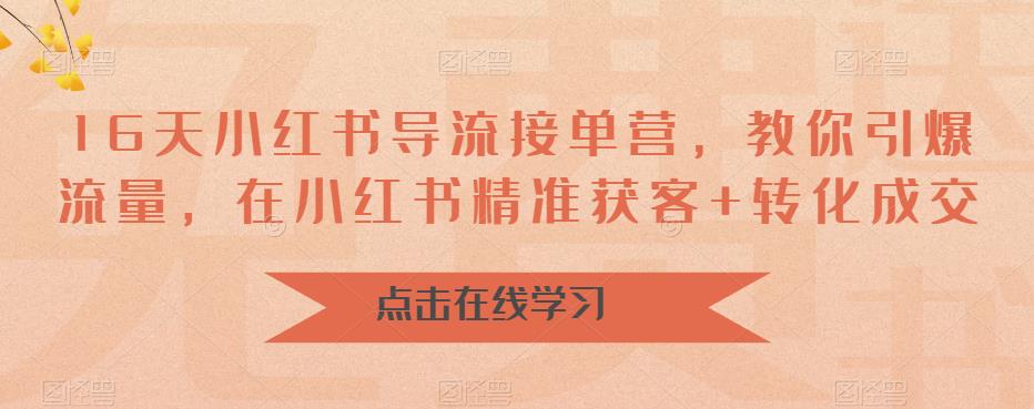 16天小红书导流接单营，教你引爆流量，在小红书精准获客+转化成交-讯领网创