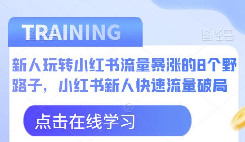 新人玩转小红书流量暴涨的8个野路子，小红书新人快速流量破局-讯领网创