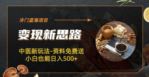 冷门蓝海项目-中医新玩法-资料免费送小白也能日入500+【揭秘】-讯领网创