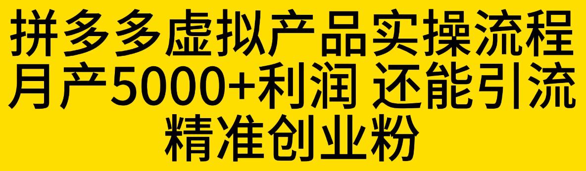 拼多多虚拟产品实操流程，月产5000+利润，还能引流精准创业粉【揭秘】-讯领网创