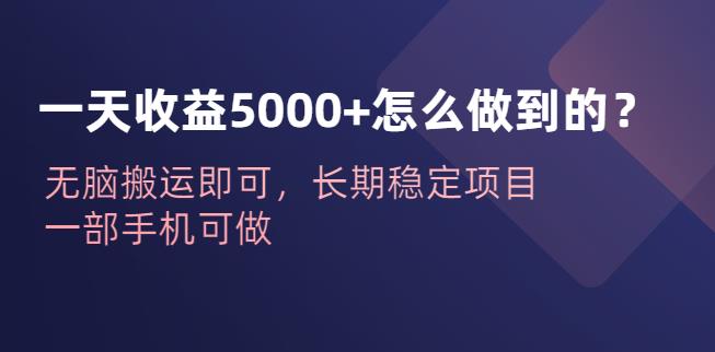 一天收益5000+怎么做到的？无脑搬运即可，长期稳定项目，一部手机可做【揭秘】-讯领网创