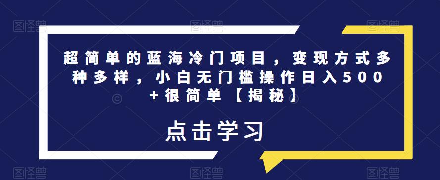 超简单的蓝海冷门项目，变现方式多种多样，小白无门槛操作日入500+很简单【揭秘】-讯领网创
