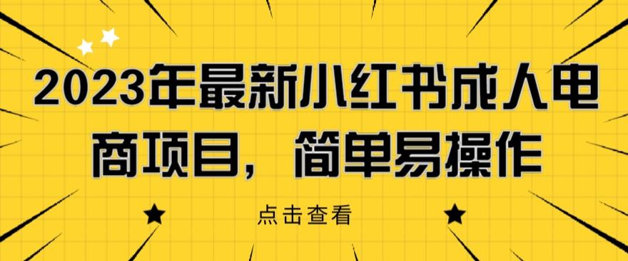 2023年最新小红书成人电商项目，简单易操作【详细教程】【揭秘】-讯领网创