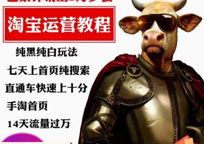 猫老师·淘系算法逆向解密，​纯黑纯白玩法，七天上首页纯搜索，手淘首页14天流量过万-讯领网创