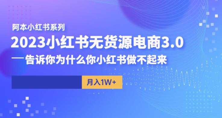 阿本小红书无货源电商3.0，告诉你为什么你小红书做不起来-讯领网创
