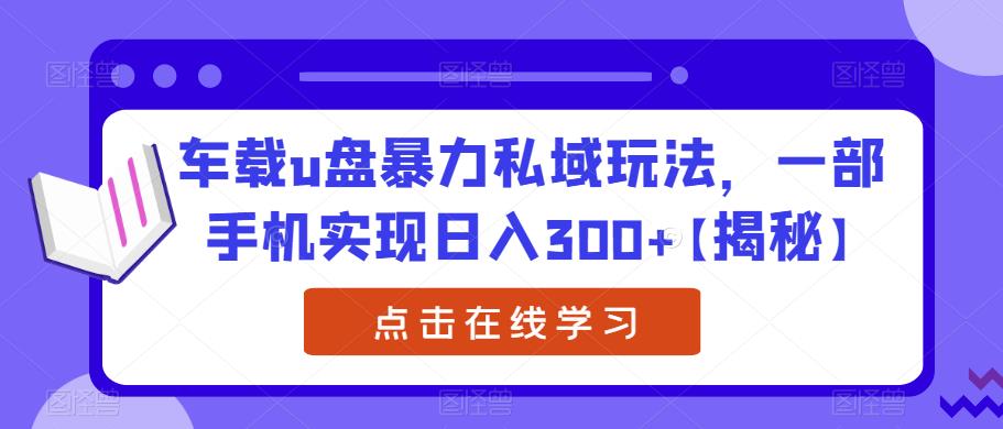 车载u盘暴力私域玩法，一部手机实现日入300+【揭秘】-讯领网创