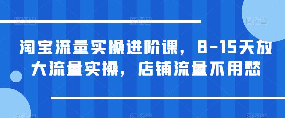 淘宝流量实操进阶课，8-15天放大流量实操，店铺流量不用愁-讯领网创