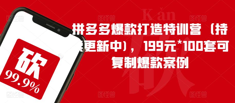 拼多多爆款打造特训营（持续更新中)，199元*100套可复制爆款案例-讯领网创