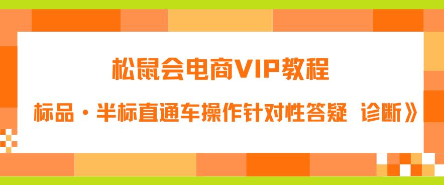 松鼠会电商VIP教程：松鼠《付费推广标品·半标直通车操作针对性答疑&诊断》-讯领网创