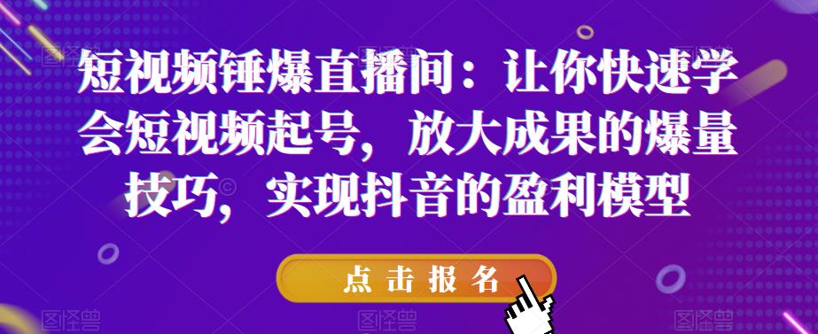 短视频锤爆直播间：让你快速学会短视频起号，放大成果的爆量技巧，实现抖音的盈利模型-讯领网创