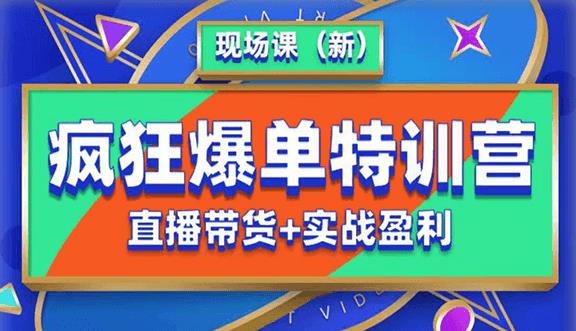 抖音短视频疯狂爆单特训营现场课（新）直播带货+实战案例-讯领网创