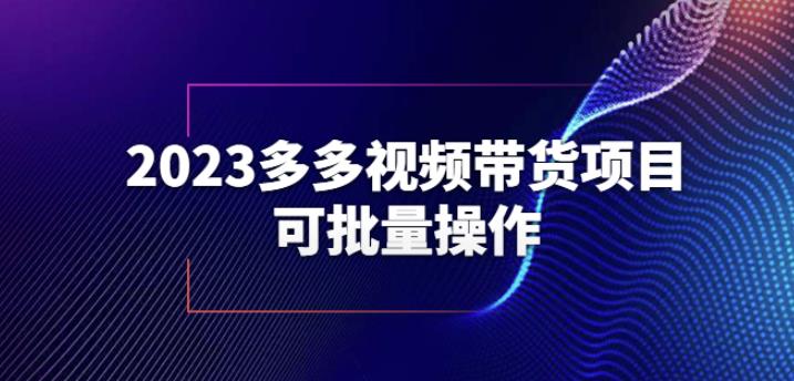 2023多多视频带货项目，可批量操作【保姆级教学】【揭秘】-讯领网创