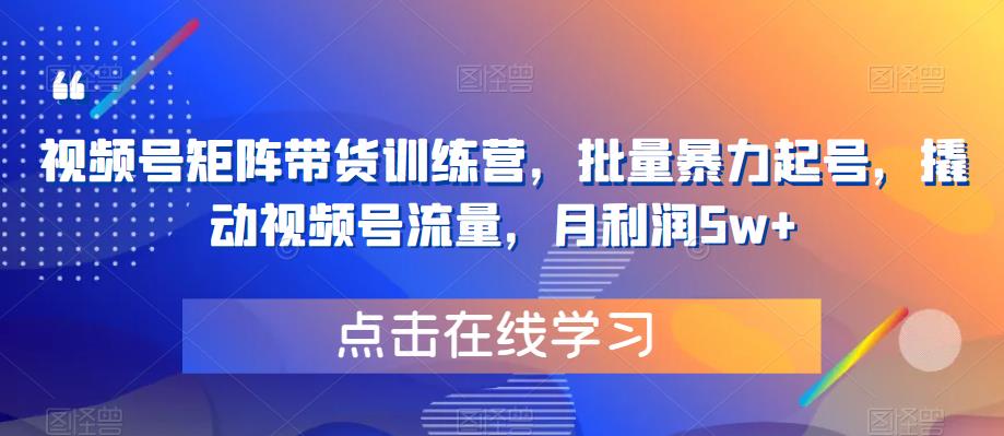 视频号矩阵带货训练营，批量暴力起号，撬动视频号流量，月利润5w+-讯领网创