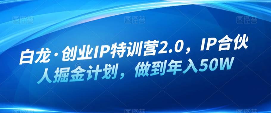 白龙·创业IP特训营2.0，IP合伙人掘金计划，做到年入50W-讯领网创
