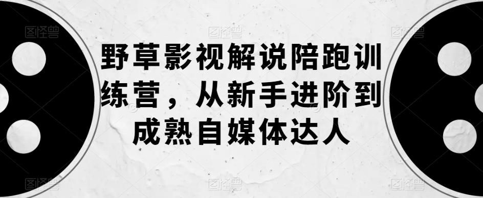 野草影视解说陪跑训练营，从新手进阶到成熟自媒体达人-讯领网创