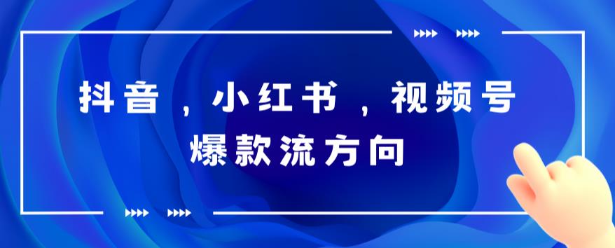抖音，小红书，视频号爆款流视频制作，简单制作掌握流量密码-讯领网创