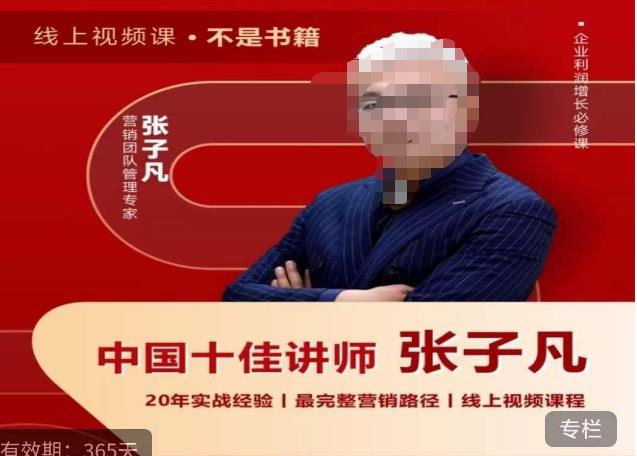 张子凡·20年实战经验，揭秘营销背后的底层逻辑，突破思维局限，从根本上破解营销难题-讯领网创