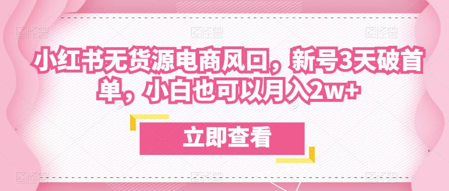 众狼电商余文小红书无货源电商风口，新号3天破首单，小白也可以月入2w+-讯领网创