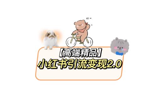 小红书最新引流变现教程，全网最新最详细的视频教程以及素材-讯领网创