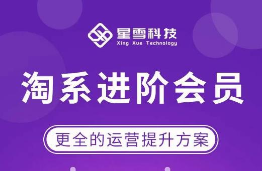 星雪·淘系进阶课程，快速提升突破技能流量瓶颈必备（更新2023年5月）-讯领网创